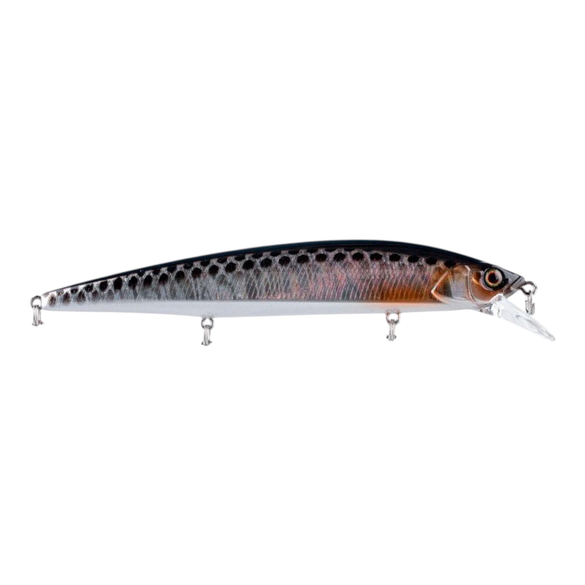 Jackall Rerange Jerkbait 130SP – Three Rivers Tackle