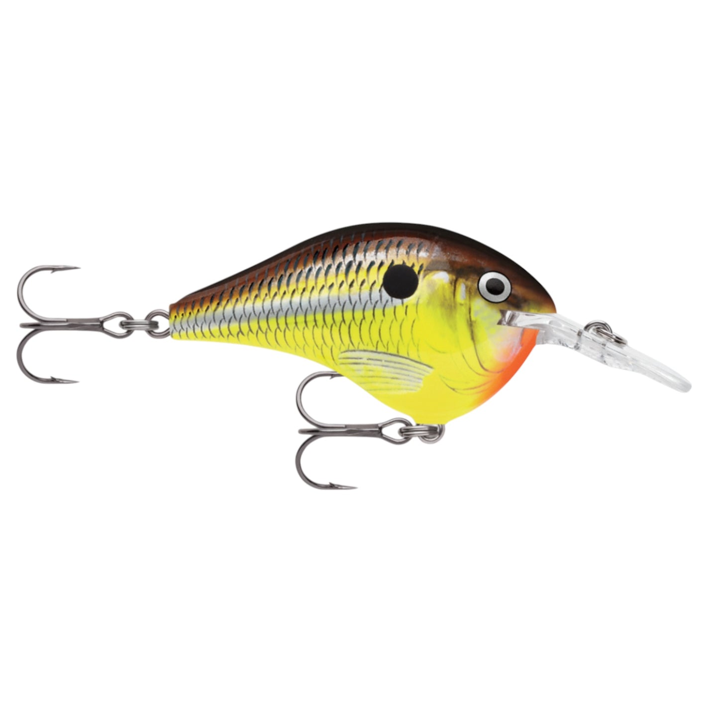 Rapala DT6 Series Crankbaits