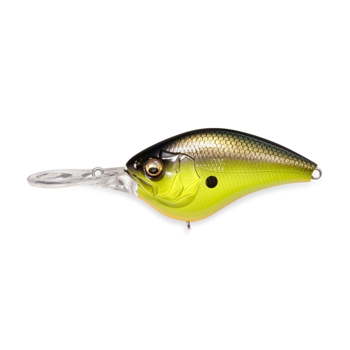 Megabass iPX-12 Crankbaits - NEW OCT 2026