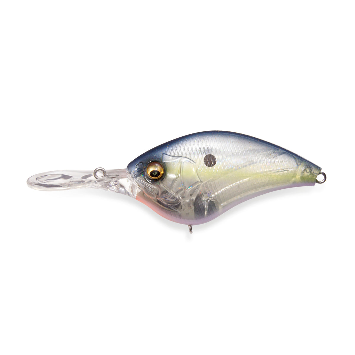 Megabass iPX-12 Crankbaits - NEW OCT 2026