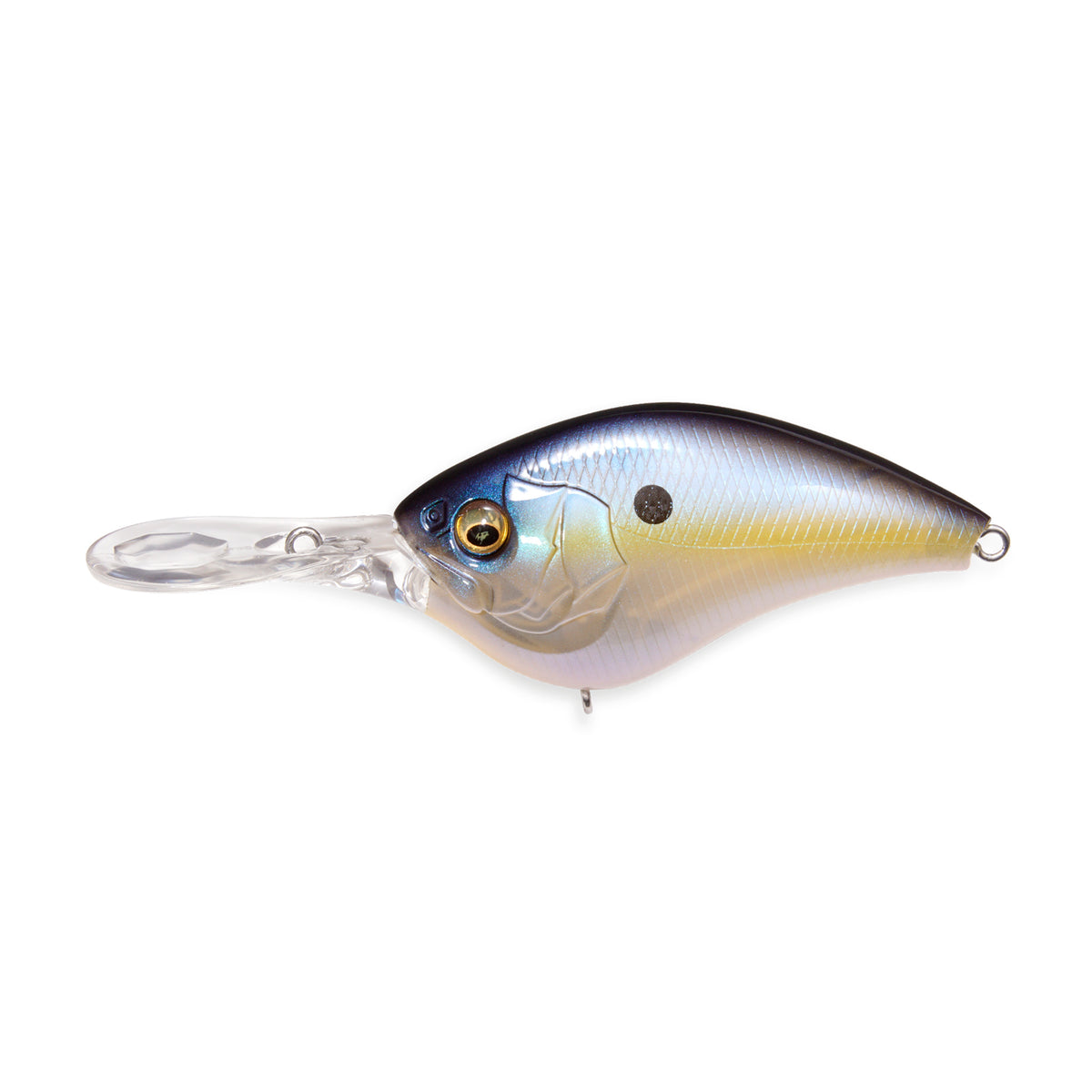 Megabass iPX-12 Crankbaits - NEW OCT 2026