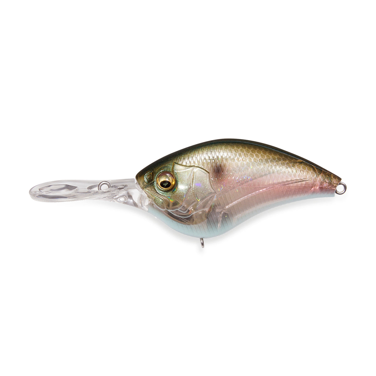 Megabass iPX-16 Crankbaits - NEW OCT 2026