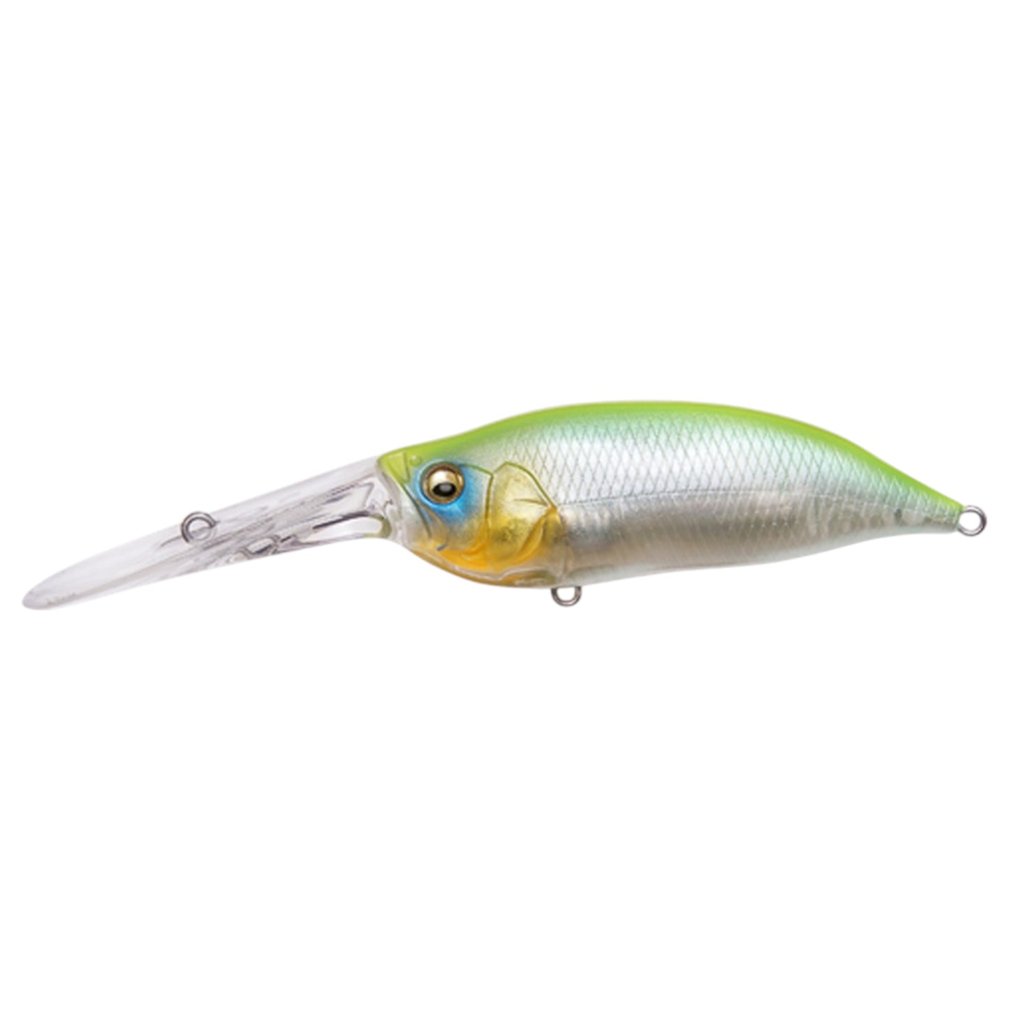 Megabass IXI Shad TX Crankbait