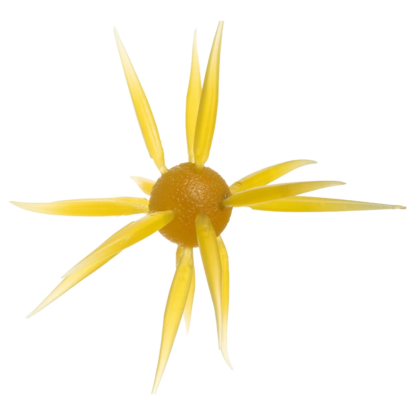 HideUp Coike Fish Elastomer L