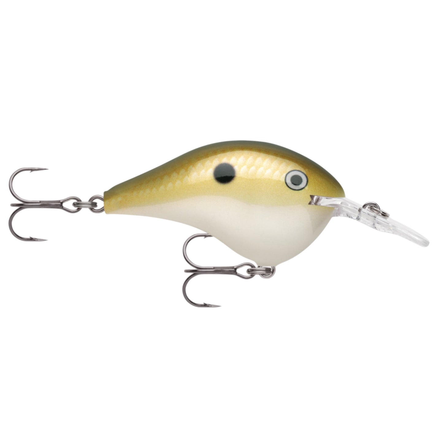 Rapala DT6 Series Crankbaits
