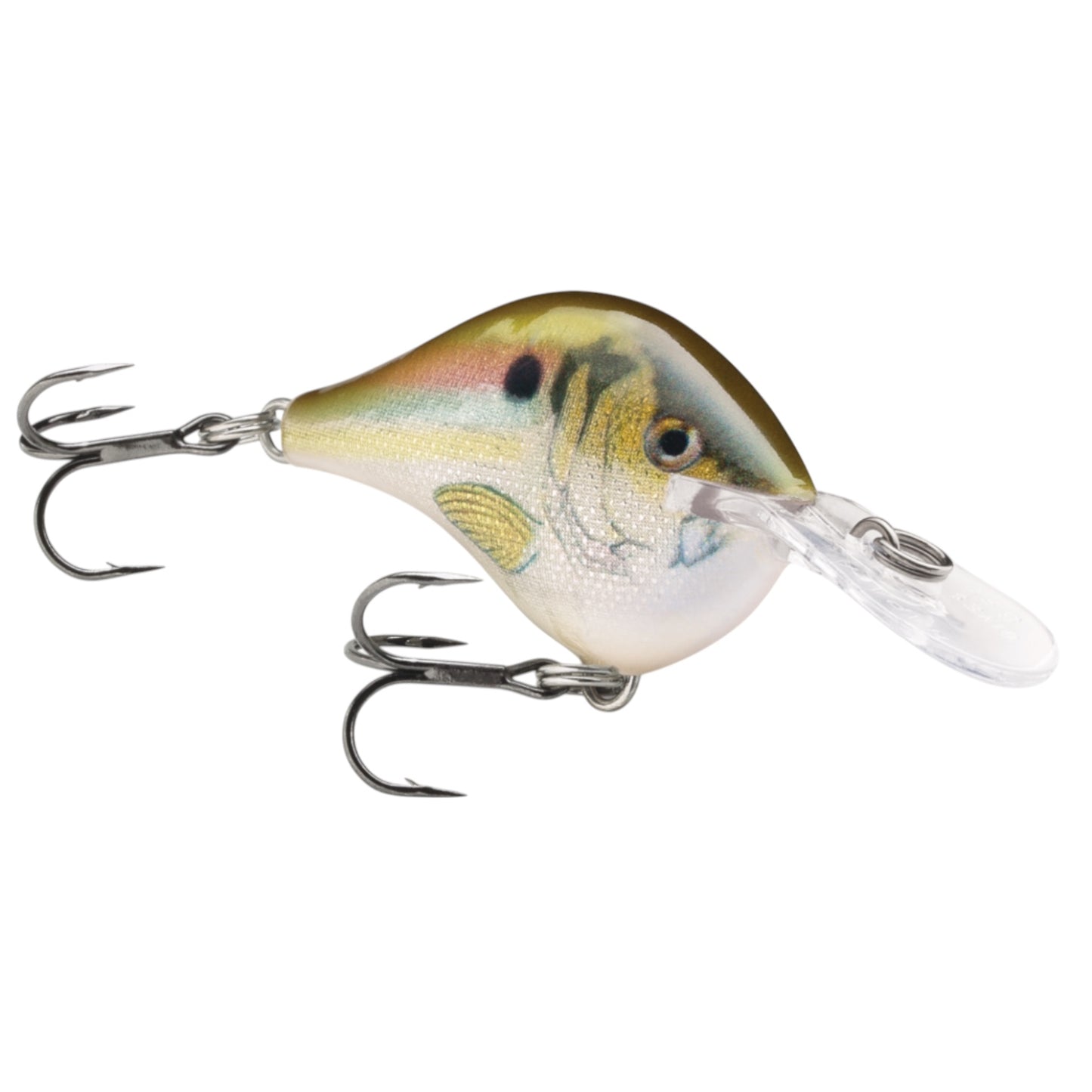 Rapala DT6 Series Crankbaits