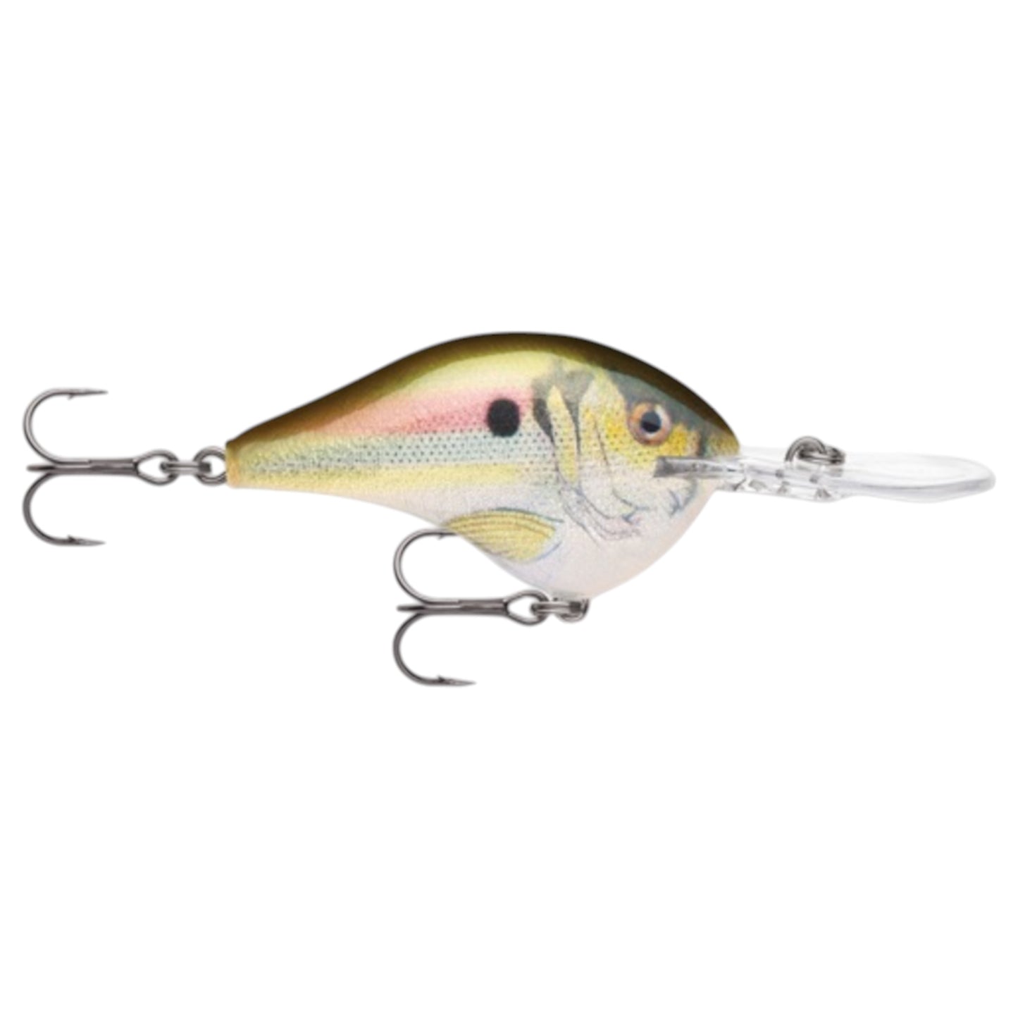 Rapala DT12 Series Crankbaits