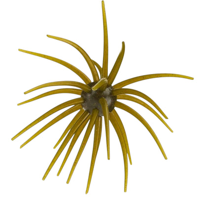 Hag's Bait Prickly Pear 19mm Urchin Bait