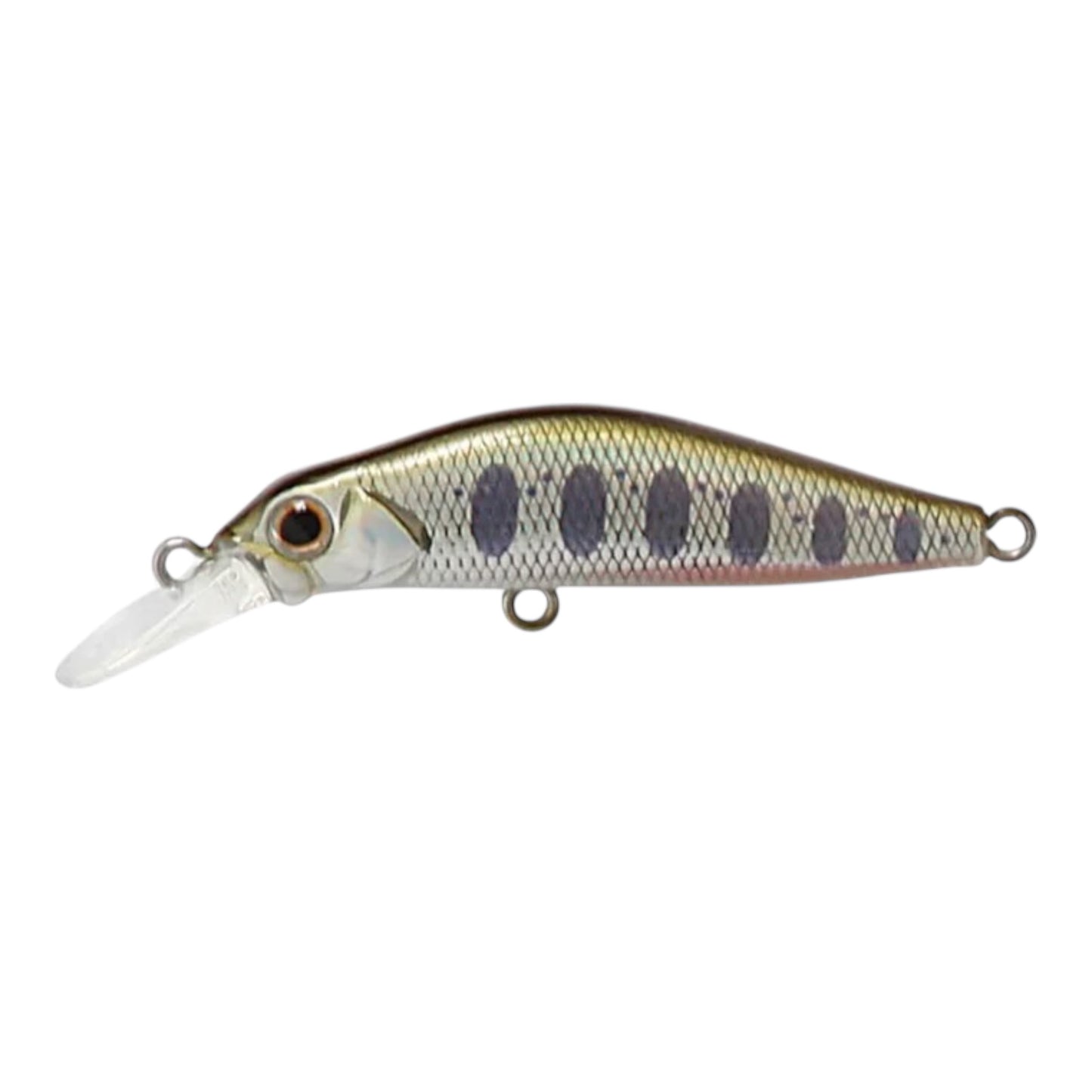 Jackson Kanade Trout Minnow