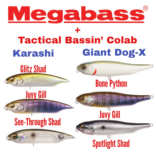 Megabass - Tactical Bassin' Giant Dog-X & Karashi Collaboration