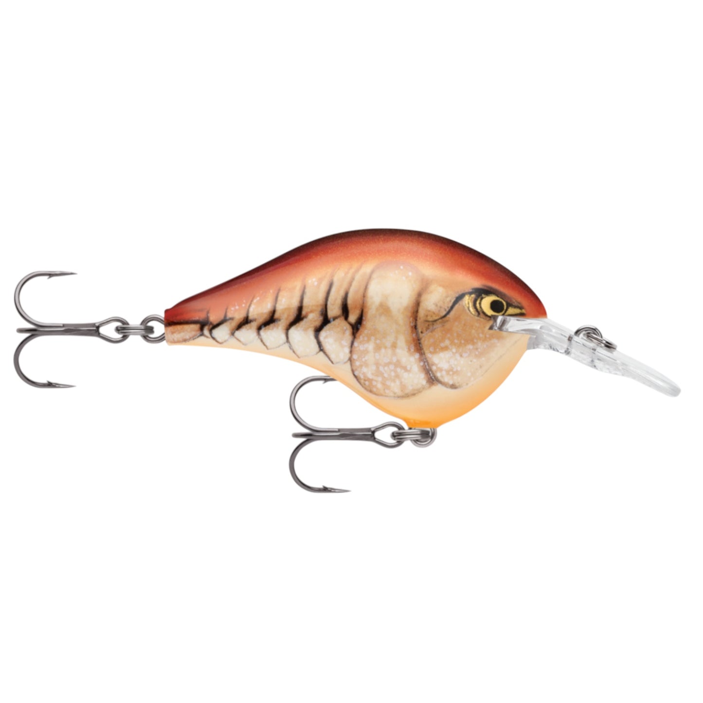 Rapala DT6 Series Crankbaits