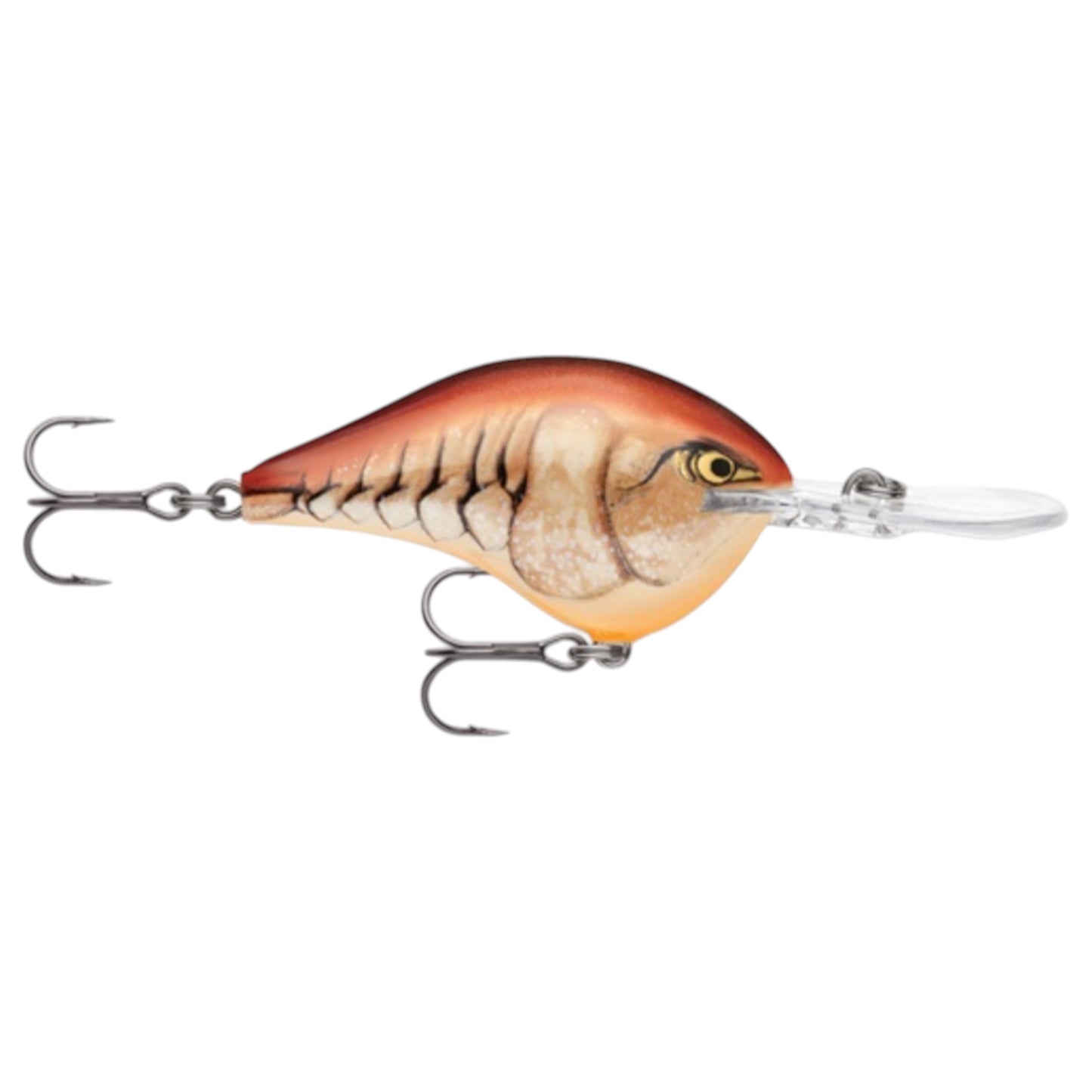 Rapala DT12 Series Crankbaits