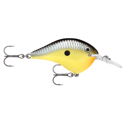 Rapala DT6 Series Crankbaits