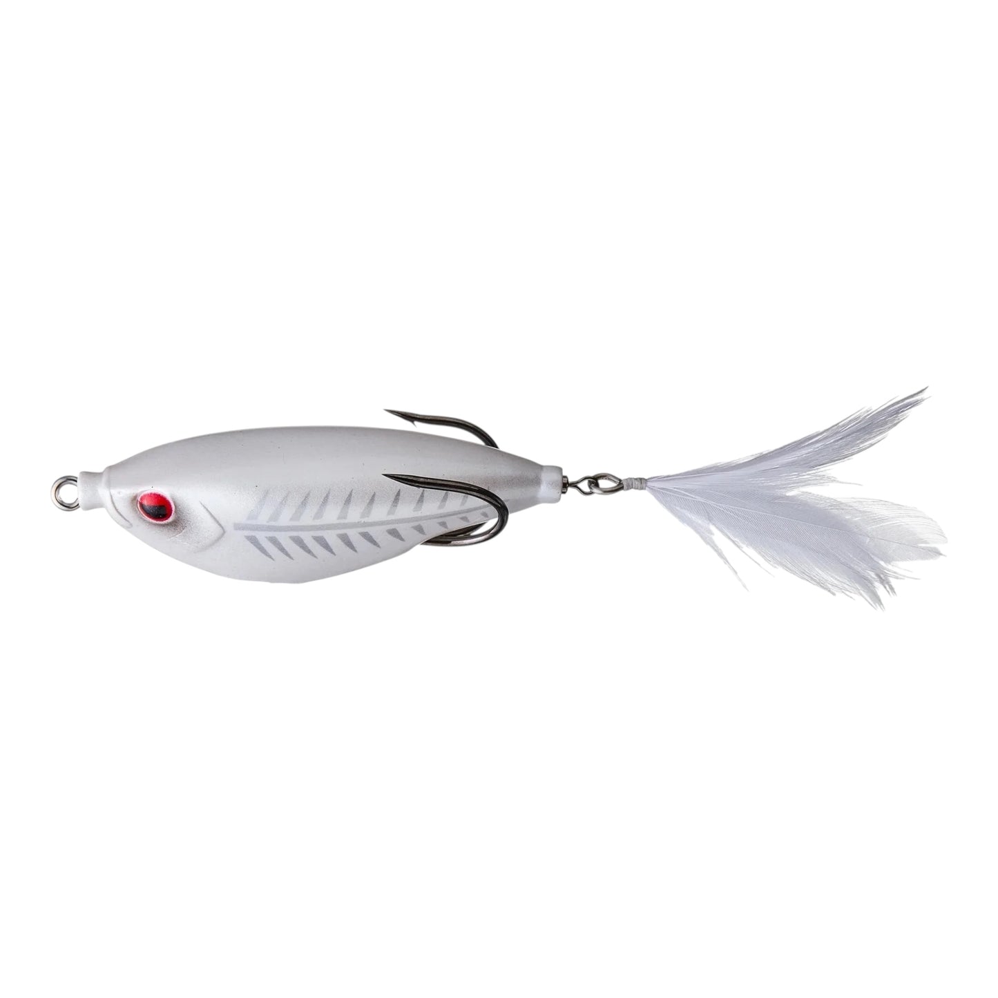 Teckel Sharker Frog