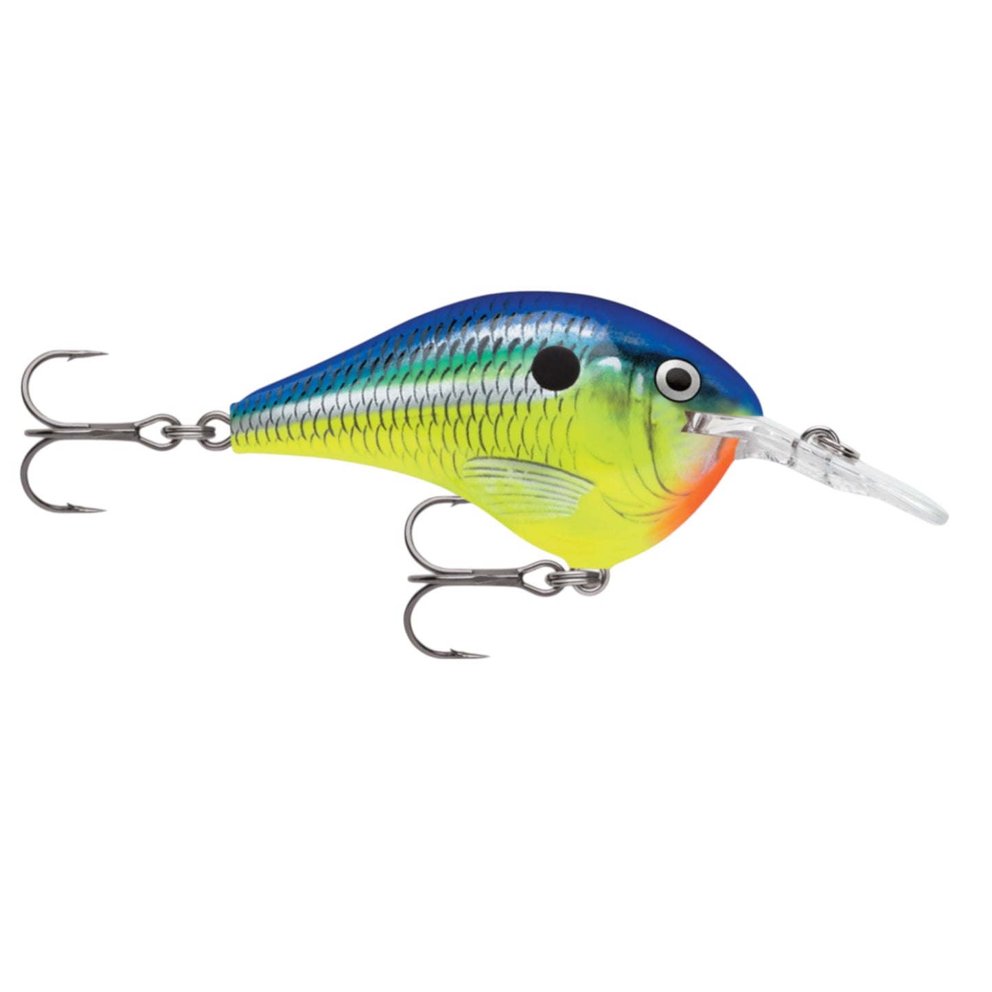 Rapala DT6 Series Crankbaits
