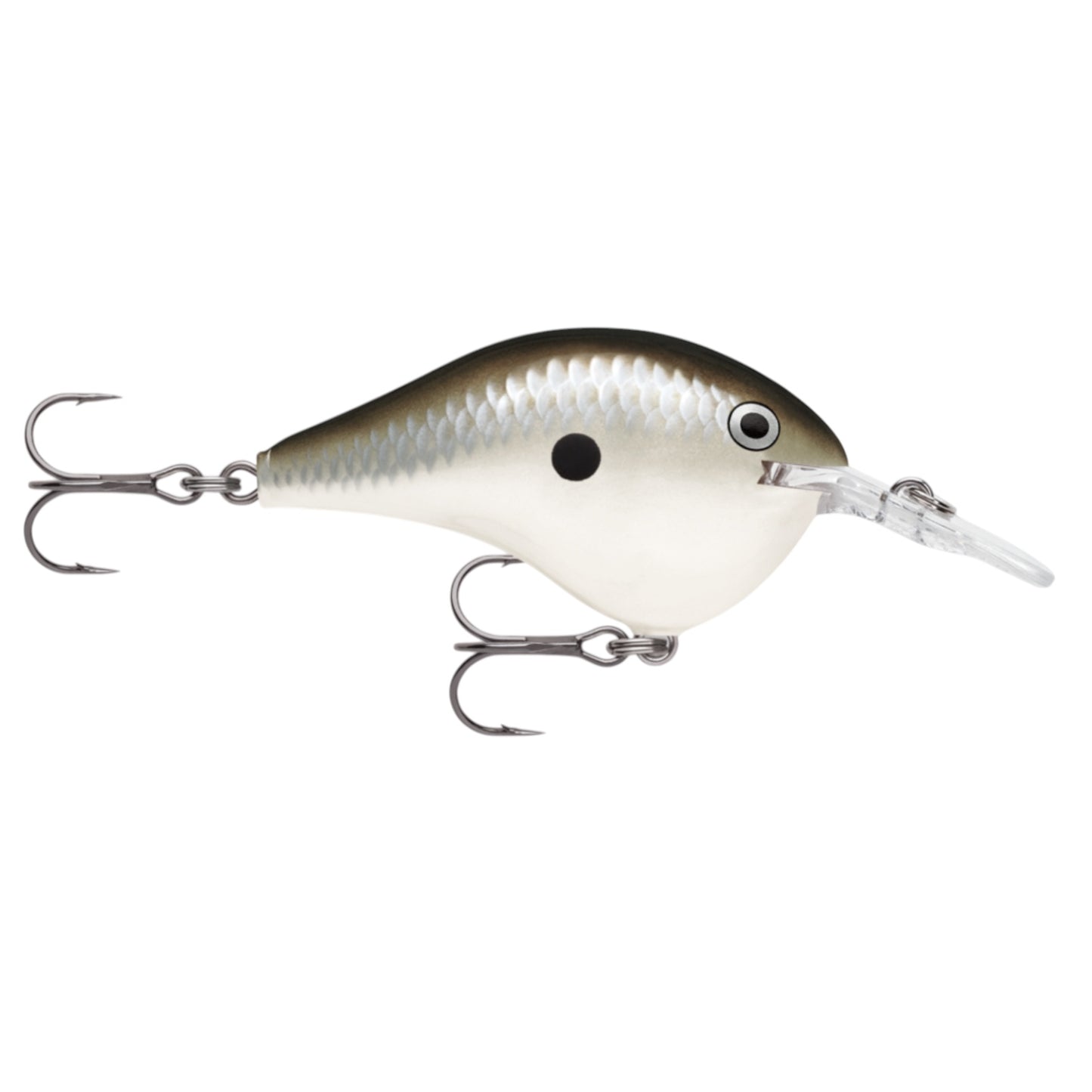 Rapala DT6 Series Crankbaits