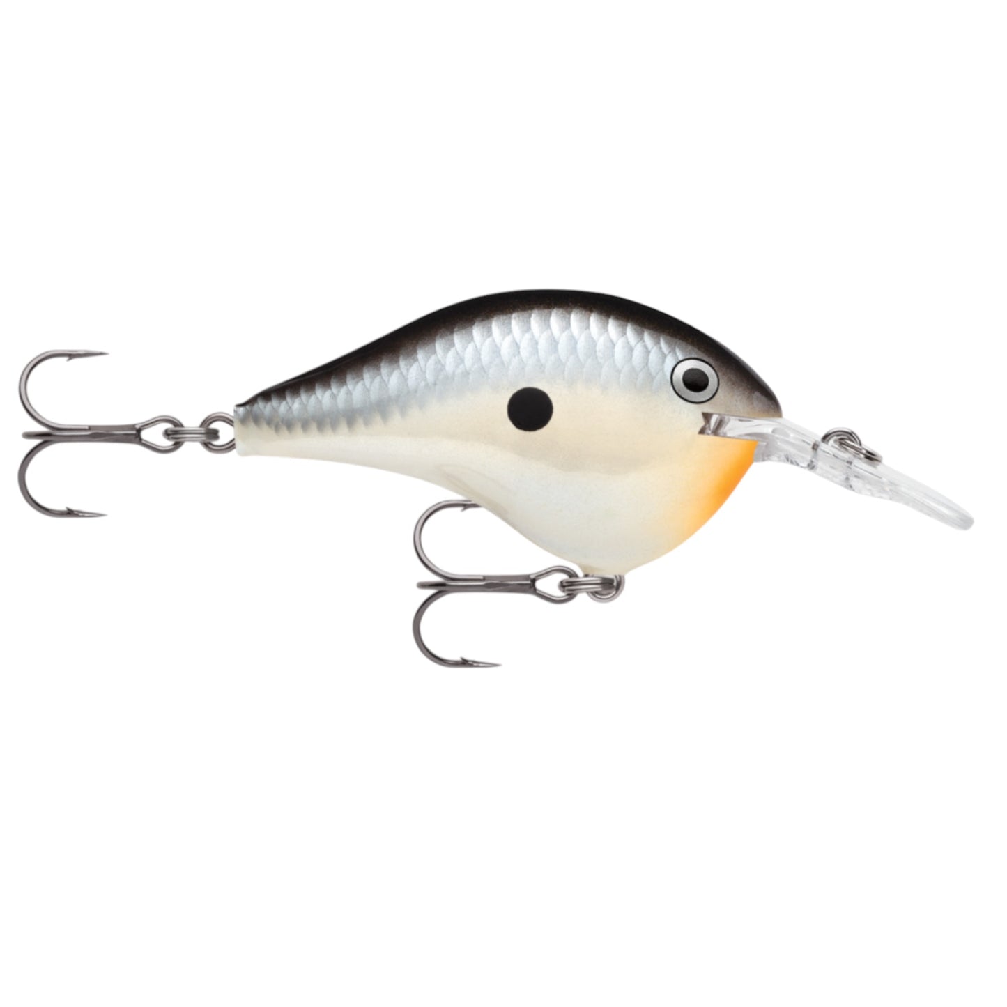 Rapala DT6 Series Crankbaits