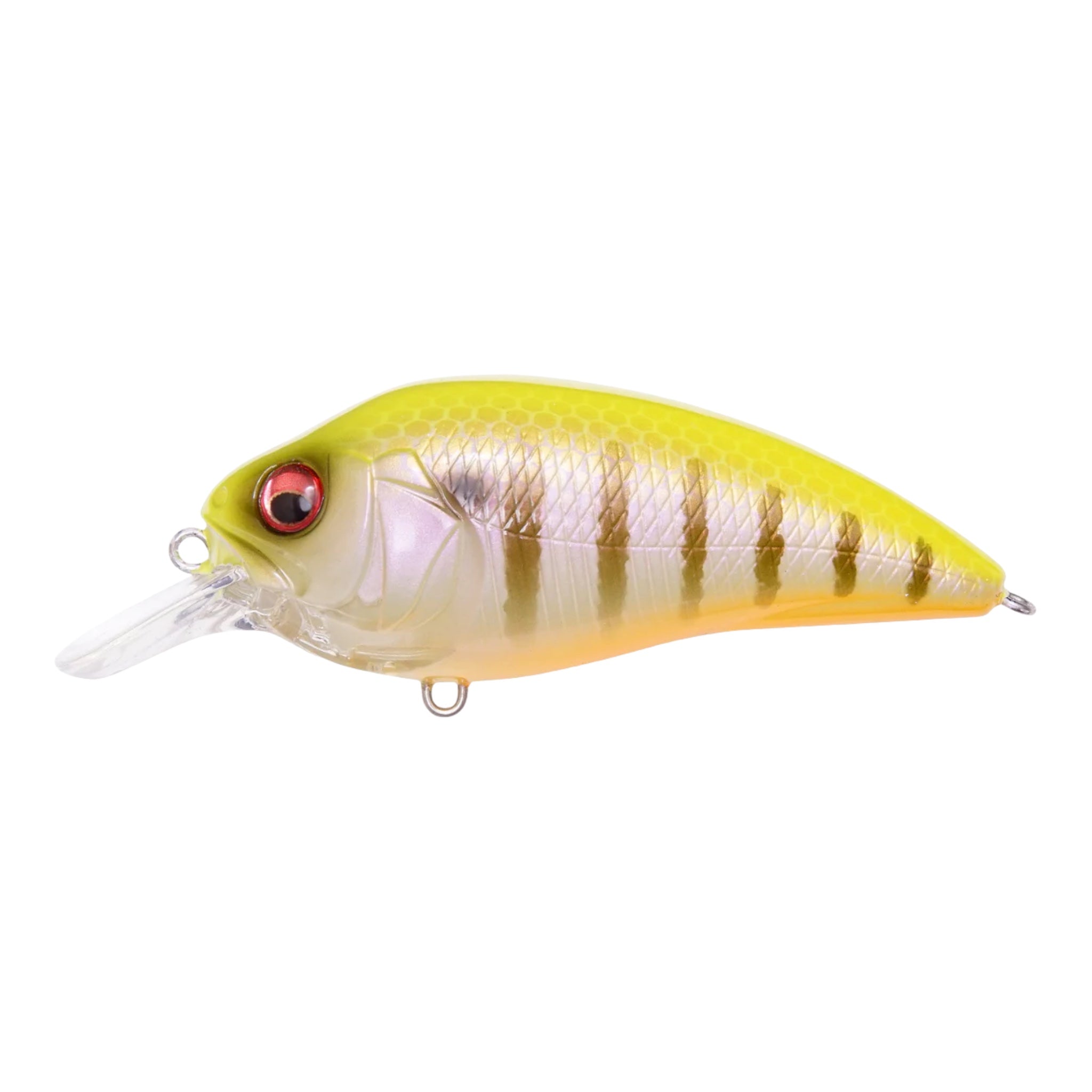 Megabass Super-Z Z1 Crankbaits – Three Rivers Tackle