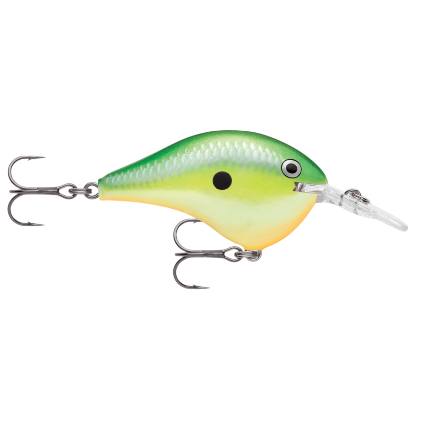 Rapala DT6 Series Crankbaits