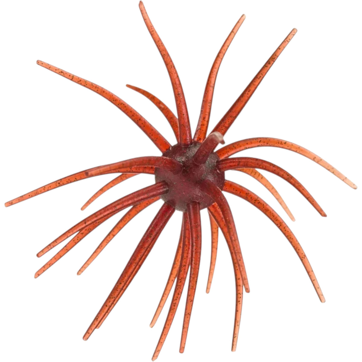 Hag's Bait Prickly Pear 19mm Urchin Bait