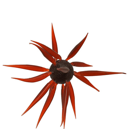 HideUp Coike Fish Elastomer L