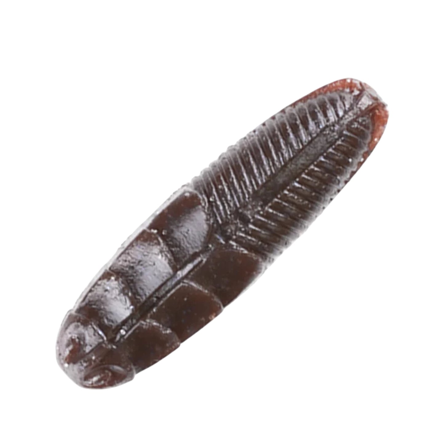 Jackall Jimmy IMO Worm