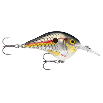 Rapala DT6 Series Crankbaits