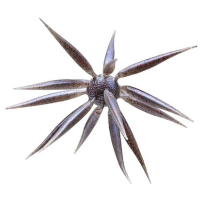 HideUp Coike Fish Elastomer M 17mm - Dropping Soon