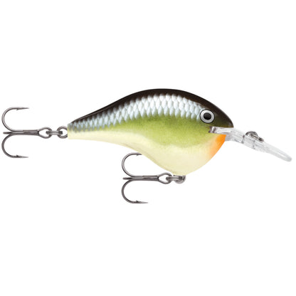 Rapala DT6 Series Crankbaits