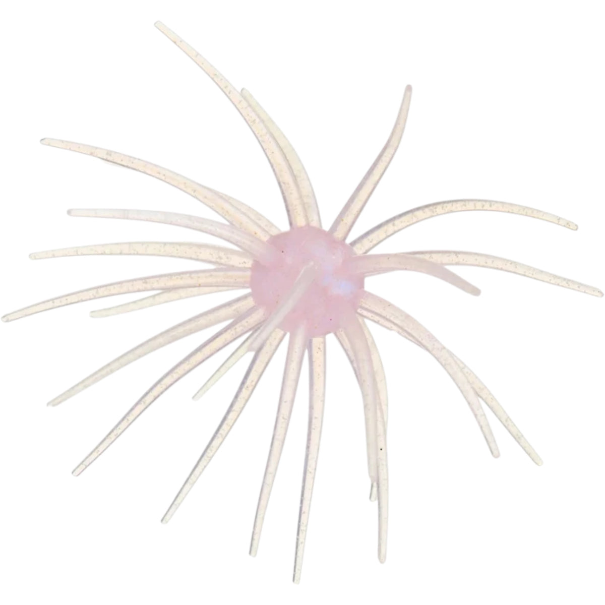 Hag's Baits Prickly Pear Big Tex 25mm Urchin Bait
