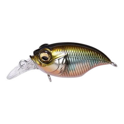 Megabass SR-X Griffon Crankbait