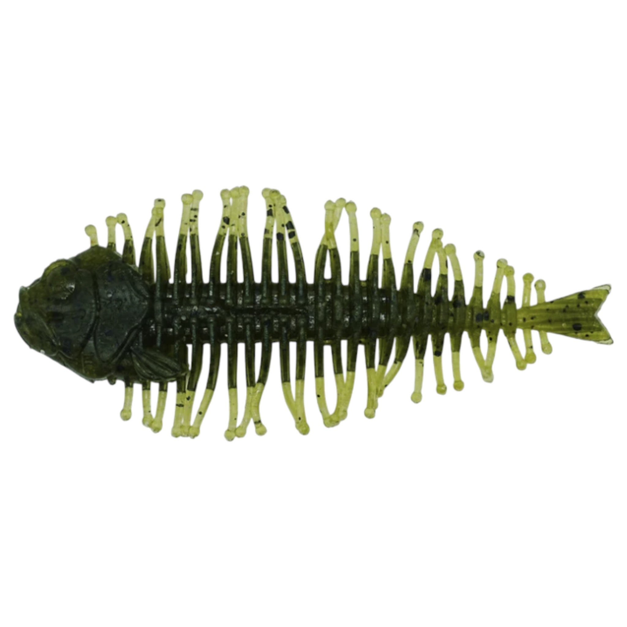 DStyle Geelacanth – Three Rivers Tackle