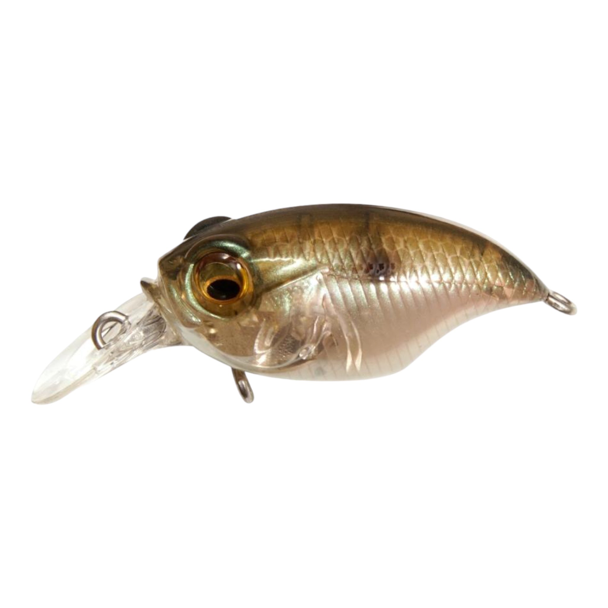 Megabass Griffon SR-X (BFS) – Three Rivers Tackle